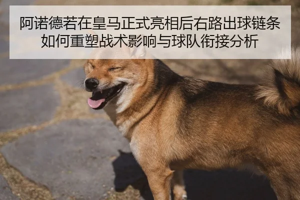 a-nuo-de-ruo-zai-huang-ma-zheng-shi-liang-xiang-hou-you-lu-chu-qiu-lian-tiao-ru-he-zhong-su-zhan-shu-ying-xiang-yu-qiu-2-915.jpg